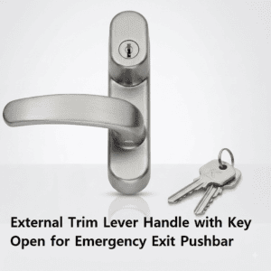 External Trim with LeverHandle